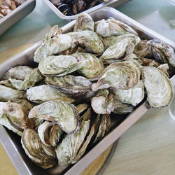 向日葵视频h特色功能